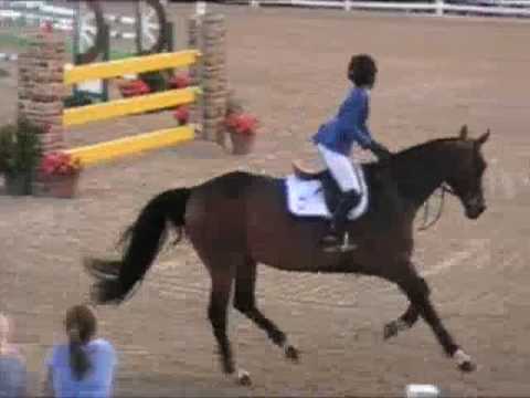 Devon Junior Jumper Reed Kessler