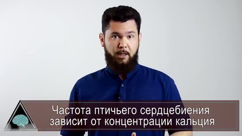 Зачем древние микробы ели метеориты и почему промерзают