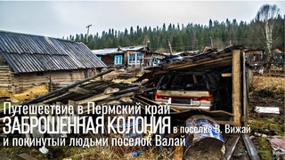 ПОКИНУТЫЙ людьми поселок ВАЛАЙ. Волк на дороге. ЗАБРОШЕННАЯ колония в поселке ВИЖАЙ.