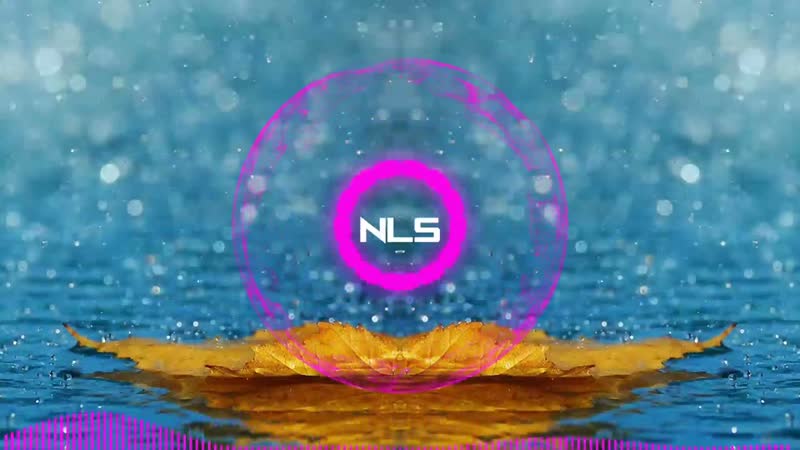 Whales Gaash Ghost In The Wall NLS Promotion , 2 Step Dn B, NLS Free To