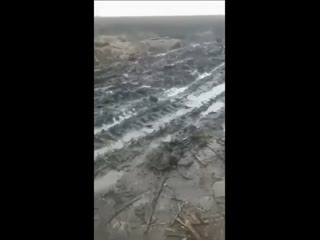 Сумні думки