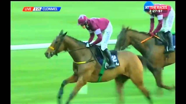 Road To Riches Clonmel Oil Chase ( Grade 2)