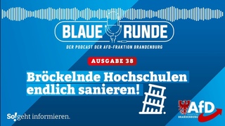 Brckelnde Hochschulen endlich sanieren! | Die Blaue Runde, Ausgabe 38