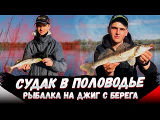 Ловля СУДАКА в ПОЛОВОДЬЕ | Как ЛОВИТЬ на ДЖИГ с БЕРЕГА| Рыбалка на Оке весной | Поклёвки на камеру!