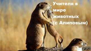 Учителя в мире животных с Алиповым