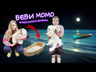 БЕЙБИ МОМО В РЕАЛЬНОЙ ЖИЗНИ | СПАСЛИ ДЕТЁНЫША МОМО С КОТОМ И СОБАКОЙ