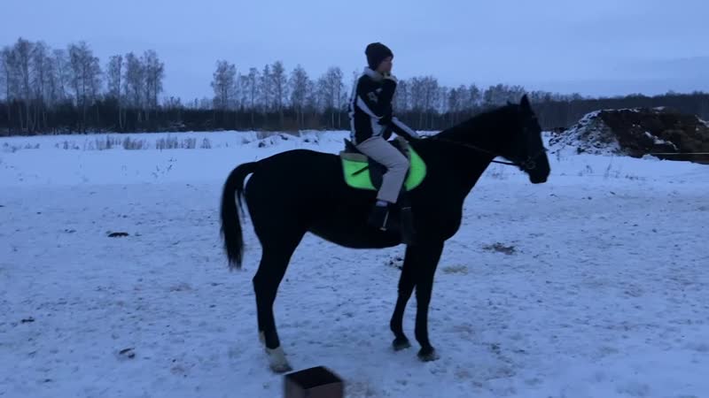 Первая Лялина наездница у нас в