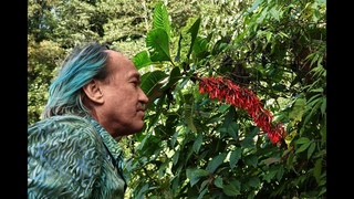 FIELD TRIP WITH PATRICK BLANC IN GUATEMALA - PART 1 HIGHLANDS