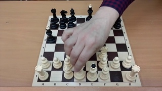 Шахматы. Мат конем черными. Гроссмейстер в шоке. Chess. Mat. Ajedrez. Estera.
