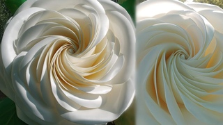 ВИХРЕВАЯ-ВИНТОВАЯ роза, большой ростовой цветок, цветы из изолона, how to make a rose, DIY, flower