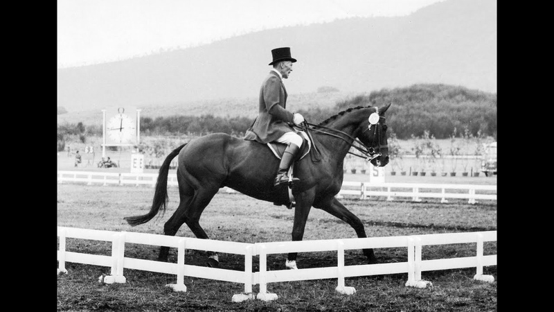 Rome 1960 Olympics Australian Equestrian
