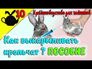 КАК ВЫКАРМЛИВАТЬ КРОЛЬЧАТ НАГЛЯДНОЕ ПОСОБИЕ / Кролиководство для чайников 10