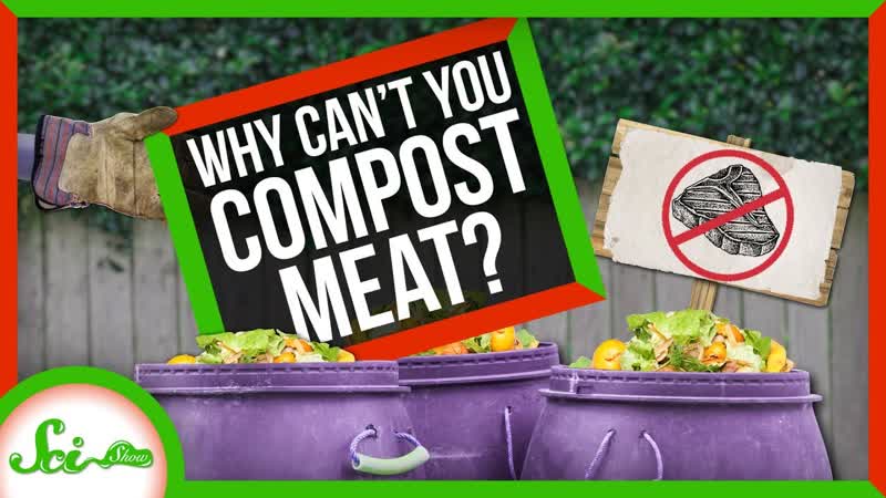 Why Cant You Compost