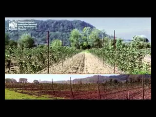 Abkhazia: Market Profile