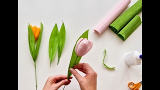 Papirblomst - tulipan i crepepapir