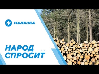 Что известно о картах интеграции / Как остановить вырубку / Поддержка режима от ОАЭ