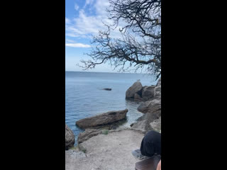 Vdeo de AVDIL