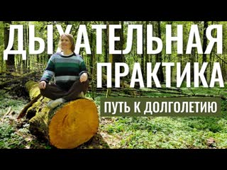 Дыхательная практика для расслабления и здоровья / Звуки леса / Пение птиц