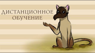 Дистанционное обучение