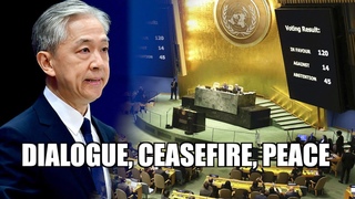 Beijing vows to keep pushing for ceasefire, talks & two-state solution in Israel-Palestine conflict