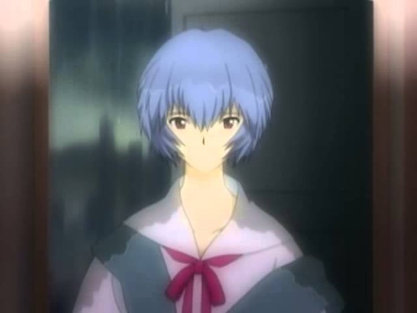Neon Genesis Evangelion: Ayanami Raising Project with Asuka Complement Project