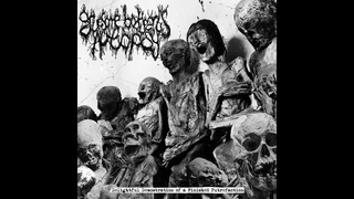 Gruesome Bodyparts Autopsy - Delightful Demonstration of a Finished Putrefaction (Full EP)