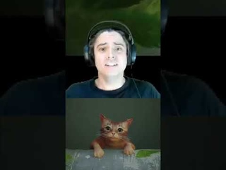 CAT PARKOUR GONE WRONG (NOT CLICKBAIT)