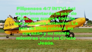 SIGO A JESUCRISTO Salmos 118:14 (NTV) El Seor es mi fuerza y mi cancin me ha dado la victoria.