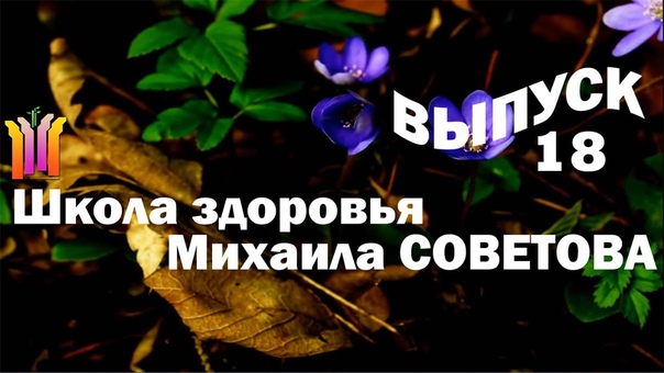 Школа здоровья Михаила СОВЕТОВА ВЫПУСК