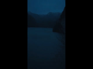 clamate ex animo tan video