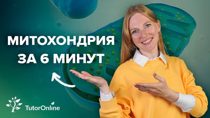 Митохондрии за 6 минут, Tutor