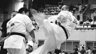 Best kyokushin Karate Knockout
