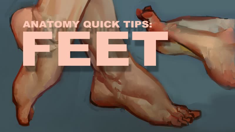Anatomy Quick Tips: