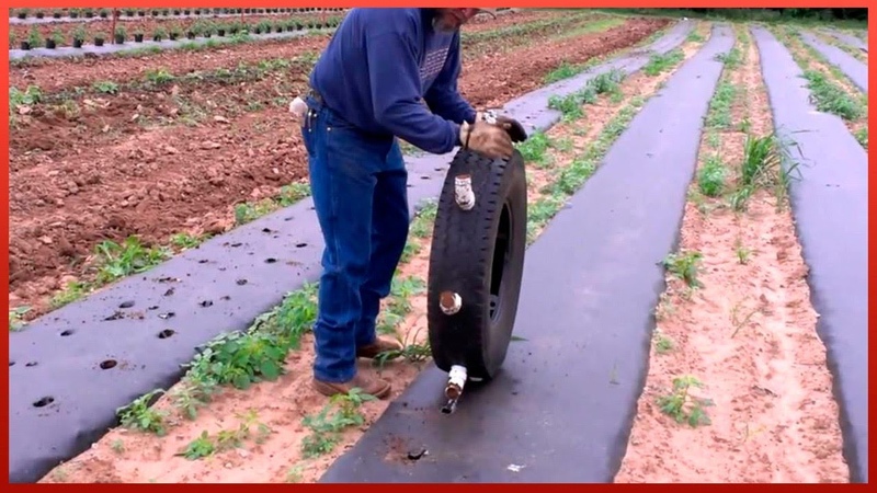 Creative Farming Tools That Work