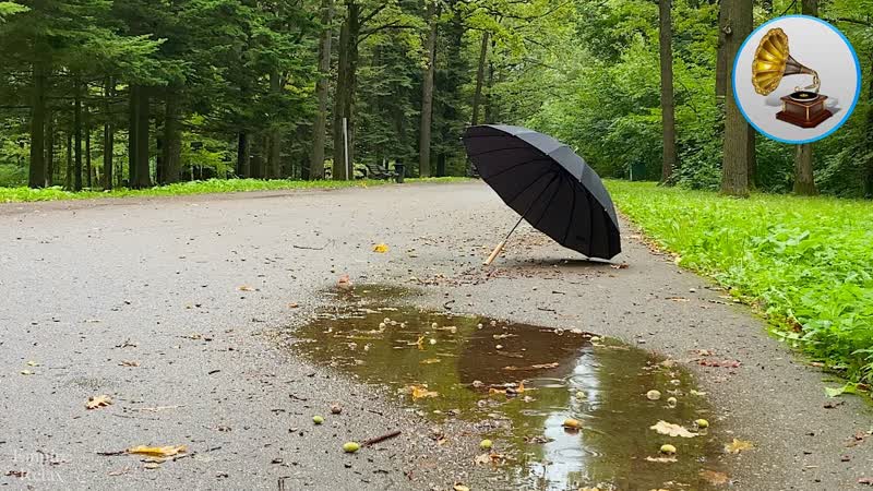 Light sound of rain under an umbrella in the morning