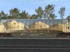 Rattlesnake Desert 54ft Covered Hopper