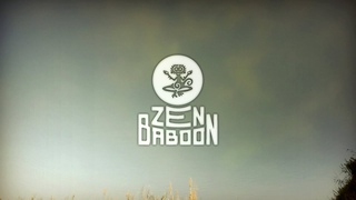Zen Baboon for Anthropos