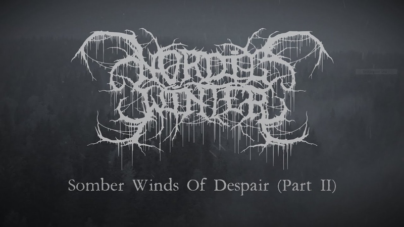 Nordicwinter Somber Winds Of Despair ( Part two) Lyric Video ( Depressive Black