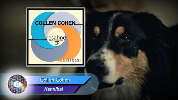 Collen Cohen