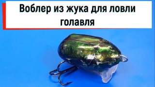 Воблер из жука для ловли голавля