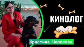 Кинолог: выставки собак, дрессировка, уход за питомцем / Нутро