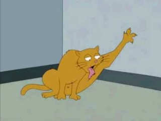 Family Guy Cat Licking