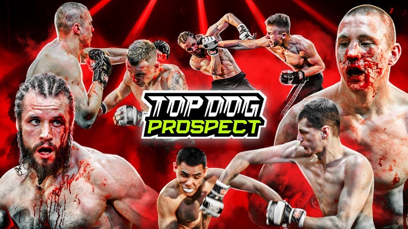 TOPDOG: