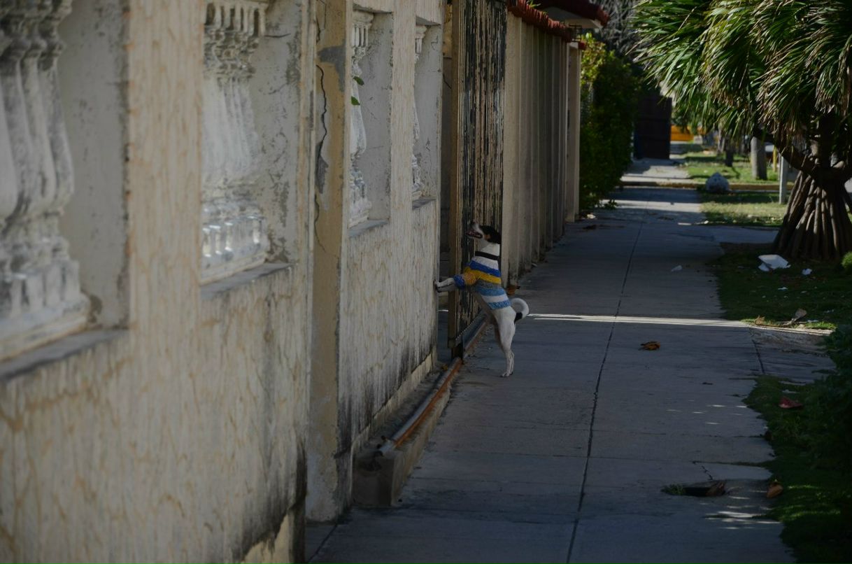 Сергей Желнинский Александрович | Воронеж