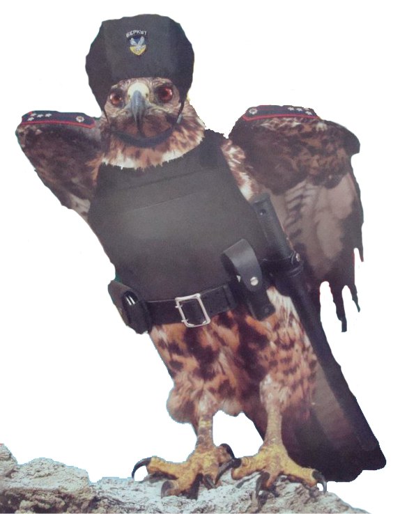 Олег Денисов | Одесса