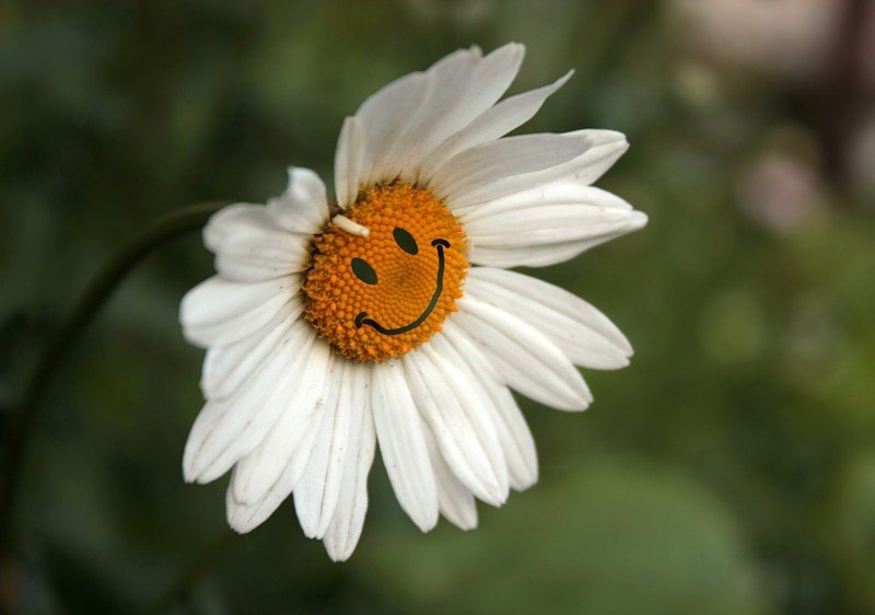 Ольга Чагаева | Балашиха