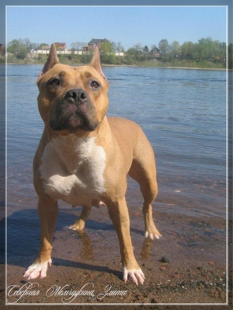 Анастасия Троицкая | Пушкин