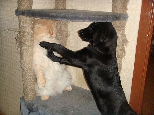 Катерина Скорочинская •°▪♥ | Санкт-Петербург