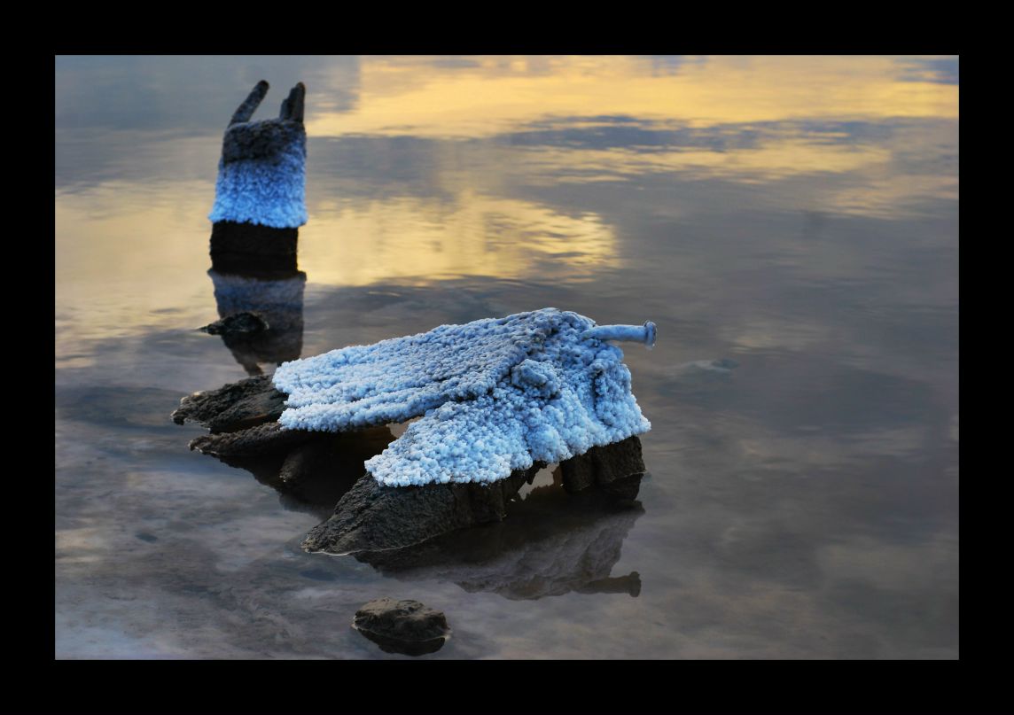 Evgeniy Potapov | Одесса