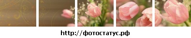 №29, Алёна Туаева, 10.04.1993, Симферополь №29, Алёна Туаева, 10.04.1993, Симферополь
